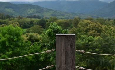 nature and accommodation fresh atmosphere © Diamon jewelry