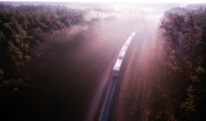 An old passenger train moves through the forest at dawn.
