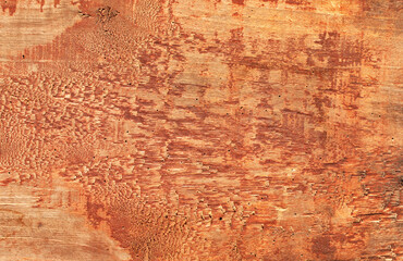 Poplar board texture. Old faded paint. Abstract natural background, texture.
