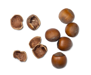 Whole hazelnut. Chopped hazelnuts on a white background. Nuts in a shell. Ingredient for vegan food.