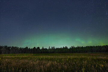 aurora borealis on the night of August 19-20 near the city of Winnipeg