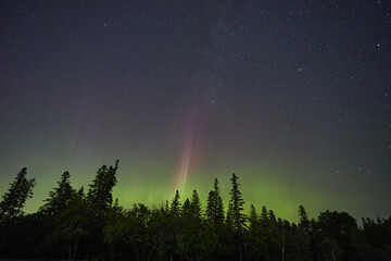 aurora borealis on the night of August 19-20 near the city of Winnipeg