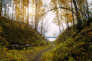 Autumn forest with yellowing trees in sunny day. Path between grassy hills leads to the river bank. Peaceful natural landscape.