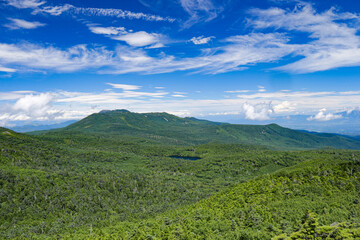 Obraz premium 夏の北八ヶ岳 『にゅう』山頂からの風景 白駒池を望む