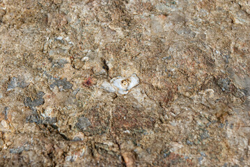 Selective focus. Beautiful stones. Granite and quartz.