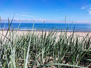 Fototapeta na wymiar Beach at the Baltic Sea. Coastal scenery with sandy beach, dunes with grass 