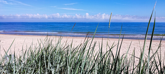 Beach at the Baltic Sea. Coastal scenery with sandy beach, dunes with grass 