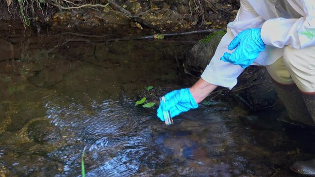 Taking a water sample from a stream into a test tube for pollution checking .