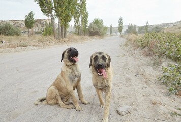 Hiking Through Cappadocia's Sword Valley