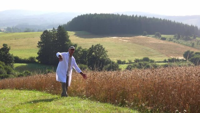 A funny farmer in a white coat walks along a wheat field and touchs the stalks of wheat.