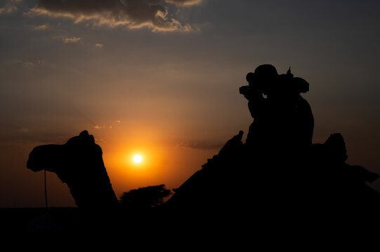 Female tourist taking picture of sunset while riding camel, Camelus dromedarius, at sand dunes of Thar desert, Rajasthan, India.Camel riding is a favourite activity amongst all tourists visiting here.