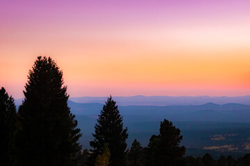 Pine trees silhouette and pink golden mountain rolling hills sunset view from top of Humphreys peak