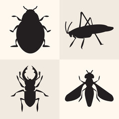 set of insects