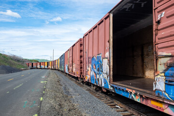 Fototapeta na wymiar an empty cargo train on a railway 