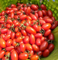 tomatoes on banana leaf.