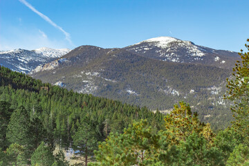 Fototapeta premium Snow and pine trees alpine forest valley leading up to Rocky Mountain National Park in Colorado