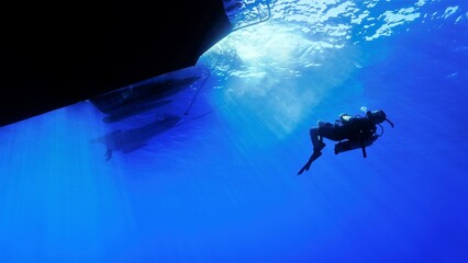 Underwater photo of scuba diver in rays of light. Art and home decoration for your interior design.