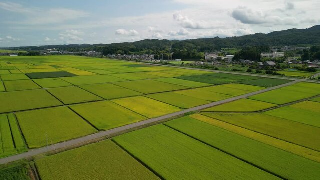 田園地帯の秋の始まりの風景