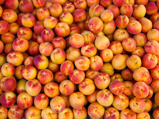Ripe apricots fruit on a local farmer street fruit vegetables market, ecological food, full frame background