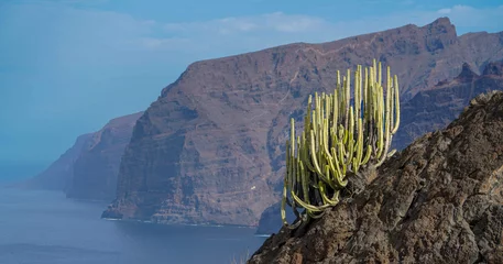 Foto op Canvas Tenerife. Los Gigantes with cactus. © AL