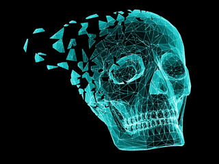 Fototapeta na wymiar 3D mesh of a skull isolated on black background. 3D illustration.