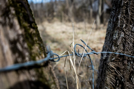 barbed wire fence in the field