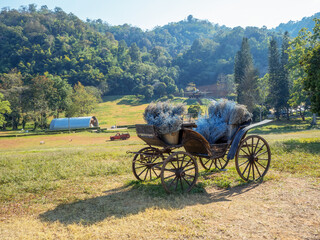 Flower on old model of carriage in exposition, vertical image