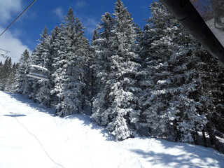 Skifahren in Saalbach Hinterglemm Leogang