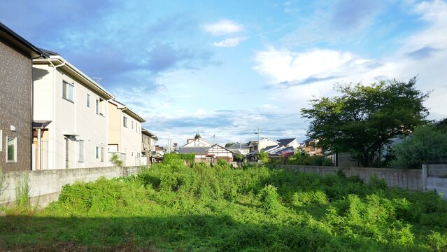 雑草が多い茂る早朝の空き地から空を望む