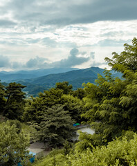Lush tree forest and mountain view on a cloudy summer day in South Korea
