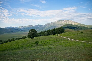 Naklejka premium Mountains of Italy in Summer