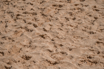 The white sand background on the coast with small rough textures is photographed up close, the details of the sand and traces of being stepped on by tourists are visible