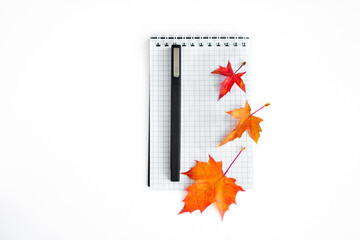 A notepad and pen with orange autumn leaves are isolated on a white background. Back to school