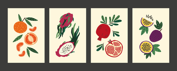 Abstract fruit poster. Modern food, vintage hand drawn print and wall art, summer or autumn harvest, minimalist tropical plants. Dragonfruit and pomegranate. Vector cartoon background
