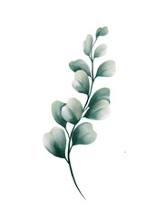 watercolor eucalyptus leaves