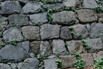 Stone Walls of Castles in Japan
