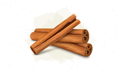 Vector illustration of Cinnamon Sticks species isolated on white background