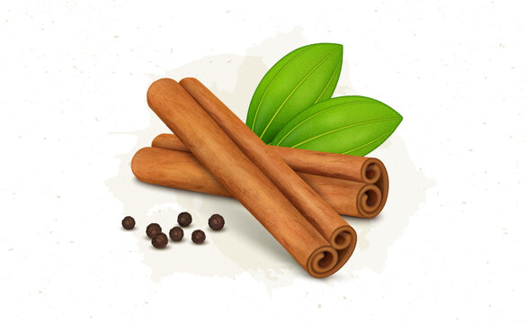 Cinnamon Sticks vector illustration with green leaves and black pepper