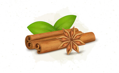 Cinnamon sticks vector illustration with green leaves and flower