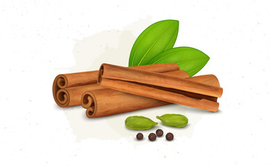 Cinnamon Sticks vector illustration with cardamom and black pepper seeds