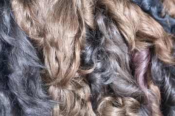 different colored hair texture close up photo