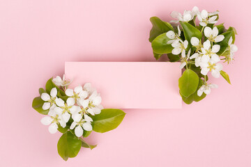 Pink rectangle blank card for text mockup with white apple tree flowers, green leaves soar on pastel pink background. Wedding spring background for advertising, branding identity, greeting card.