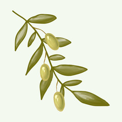 Olive branch hand drawn isolated on background