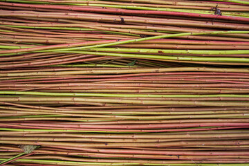 Red Green Raw Jute Texture background. This is the Called Golden Fiber in Bangladesh