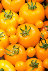 Yellow tomatoes background. Fresh vegetables