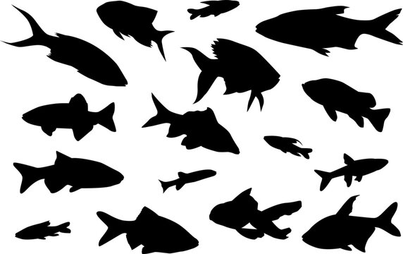 Vector set of fish silhouettes