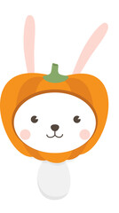 Halloween Rabbit.