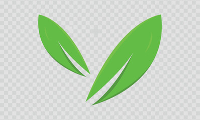 green leaves on a white background