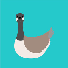 Canada Goose Pastel Canada