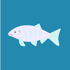 Salmon Pastel Canada